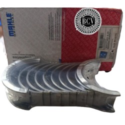 CONCHA BANCADA TIGGO 2.4 GRAND TIGER 4X4 L300 010 0.25 C/C