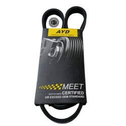 CORREA MICRO ALTERNADOR NEON (00-05)ELANTRA 2LT AC