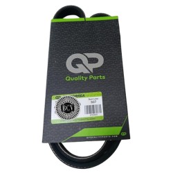 CORREA MULTICANAL 4PK0800 31.49 PULG