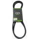 CORREA FIAT 1.3, 9,84 PULG ELANTRA, GOLF JETTA