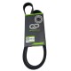 CORREA MULTICANAL 5PK1165 45.86 PULG FIAT IDEA 1,4 05 PALI0